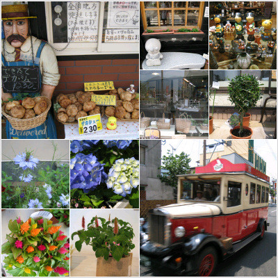 이미지를 클릭하면 원본을 보실 수 있습니다.