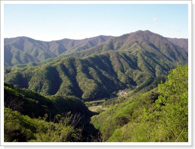 이미지를 클릭하면 원본을 보실 수 있습니다.