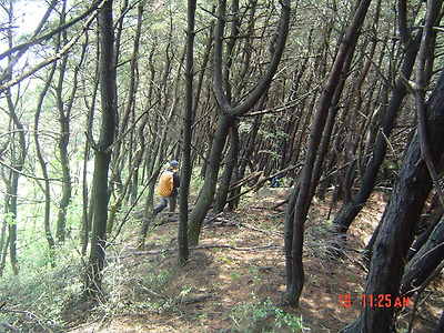 이미지를 클릭하면 원본을 보실 수 있습니다.