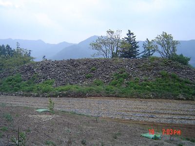 이미지를 클릭하면 원본을 보실 수 있습니다.