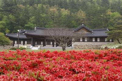 이미지를 클릭하면 원본을 보실 수 있습니다.