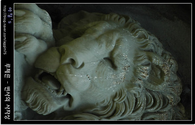 이미지를 클릭하면 원본을 보실 수 있습니다.