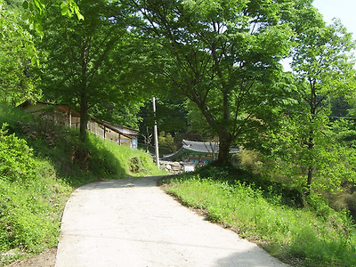 이미지를 클릭하면 원본을 보실 수 있습니다.