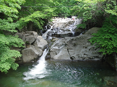 이미지를 클릭하면 원본을 보실 수 있습니다.