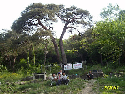 이미지를 클릭하면 원본을 보실 수 있습니다.