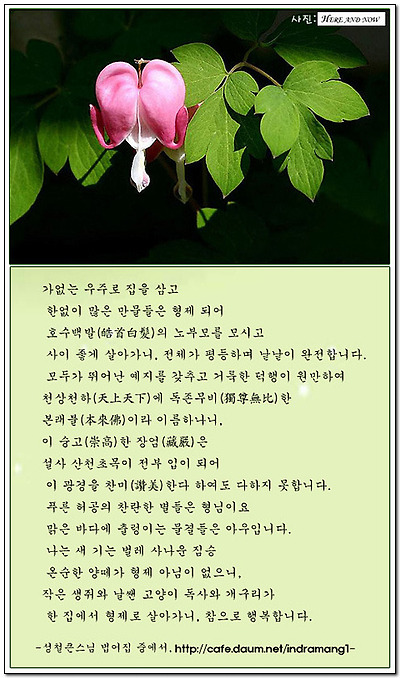 이미지를 클릭하면 원본을 보실 수 있습니다.