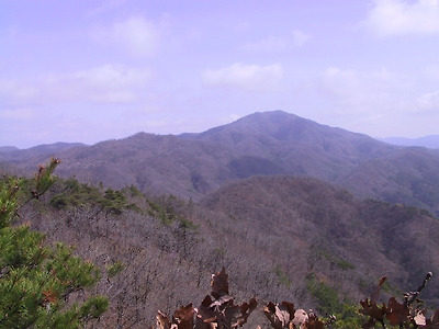 이미지를 클릭하면 원본을 보실 수 있습니다.