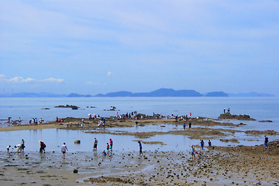 제부도 갯벌체험 1