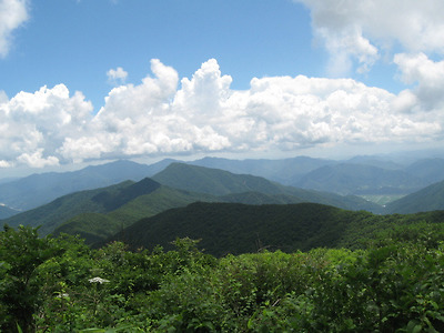 이미지를 클릭하면 원본을 보실 수 있습니다.