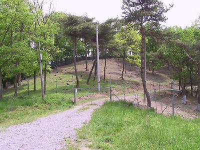 이미지를 클릭하면 원본을 보실 수 있습니다.