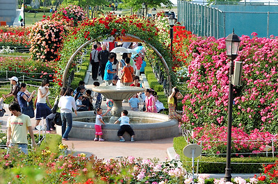 이미지를 클릭하면 원본을 보실 수 있습니다.