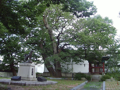 이미지를 클릭하면 원본을 보실 수 있습니다.