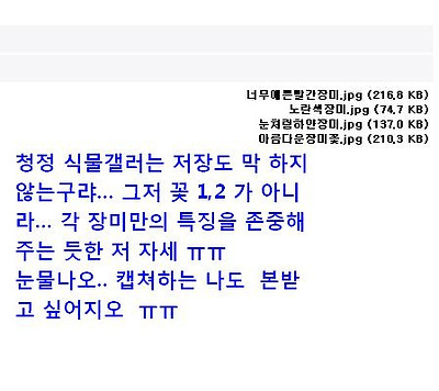 이미지를 클릭하면 원본을 보실 수 있습니다.