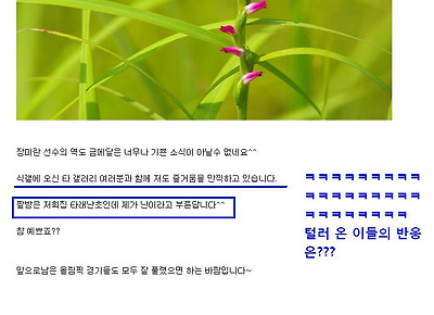 이미지를 클릭하면 원본을 보실 수 있습니다.