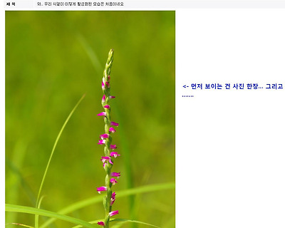 이미지를 클릭하면 원본을 보실 수 있습니다.