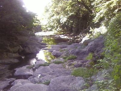 이미지를 클릭하면 원본을 보실 수 있습니다.