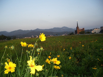 이미지를 클릭하면 원본을 보실 수 있습니다.
