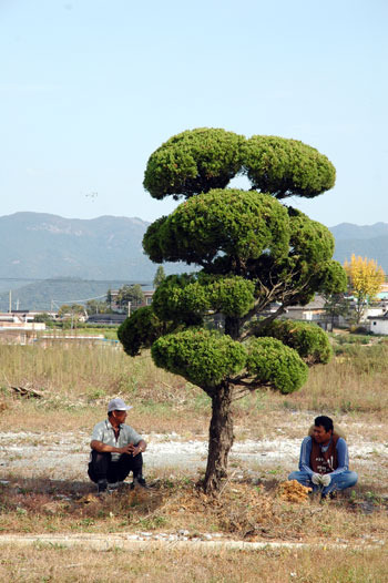 이미지를 클릭하면 원본을 보실 수 있습니다.