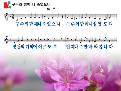 이미지를 클릭하면 원본을 보실 수 있습니다.