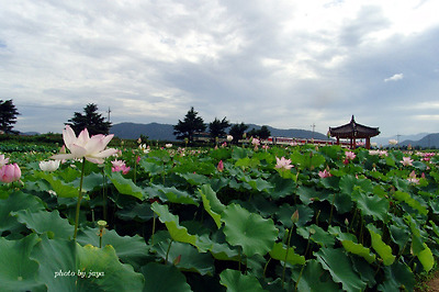 이미지를 클릭하면 원본을 보실 수 있습니다.