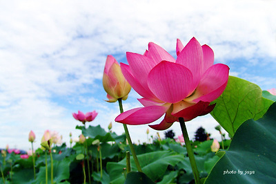이미지를 클릭하면 원본을 보실 수 있습니다.