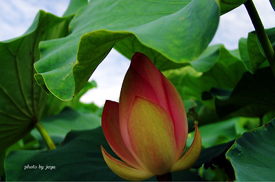 이미지를 클릭하면 원본을 보실 수 있습니다.