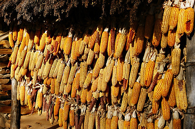 초겨울의 용인 민속촌