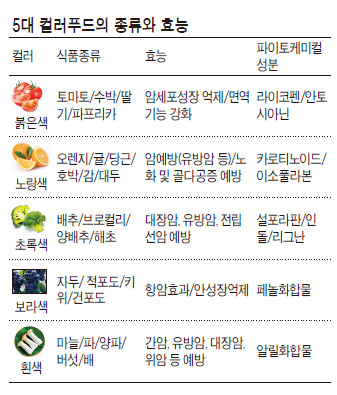 파이토케미컬 폴리페놀에 대한 이미지 검색결과