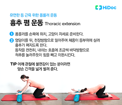 유연한 등근육을 위한 운동