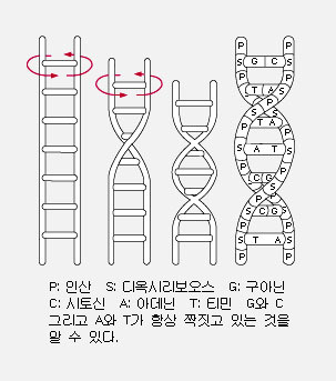 이미지를 클릭하시면 창이 닫힙니다