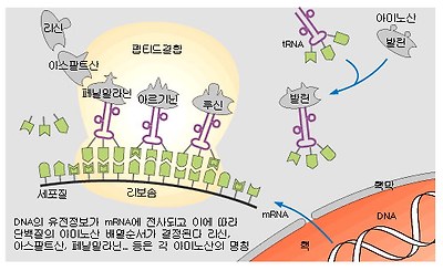 이미지를 클릭하시면 창이 닫힙니다