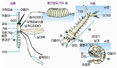 이미지를 클릭하시면 창이 닫힙니다