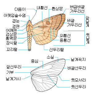 이미지를 클릭하시면 창이 닫힙니다
