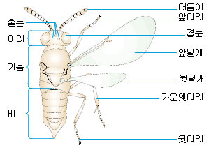 이미지를 클릭하시면 창이 닫힙니다