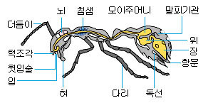 이미지를 클릭하시면 창이 닫힙니다