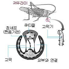 이미지를 클릭하시면 창이 닫힙니다
