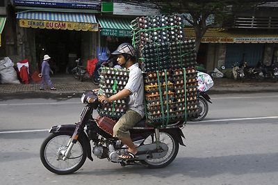 Carefully Driving With Eggs