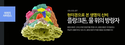 플랑크톤