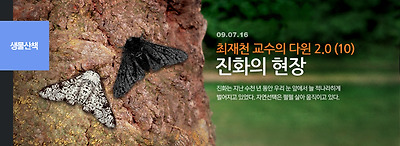 진화의 현장