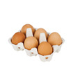 Egg Carton