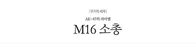 M16 소총