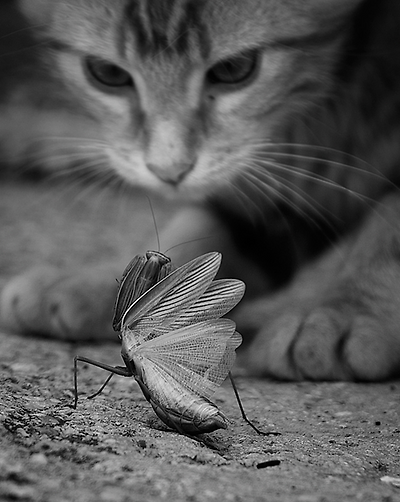 Awesome Examples Of Documentary Photography Awesome Examples Of Documentary Photography