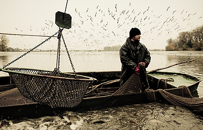 Awesome Examples Of Documentary Photography Awesome Examples Of Documentary Photography