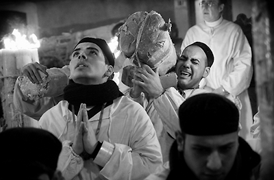 Awesome Examples Of Documentary Photography Awesome Examples Of Documentary Photography