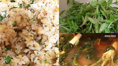 영양가득! 장수밥상 ④ 효소만들기 이미지-5