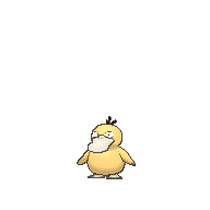 psyduck-2.gif