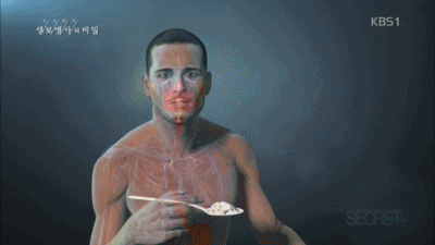 53 인슐린 움짤.gif