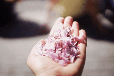 tumblr_mgcdwjM0e01r68tp3o1_500.gif