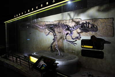 아시아 최초로 공개된 알로사우루스 진품 화석