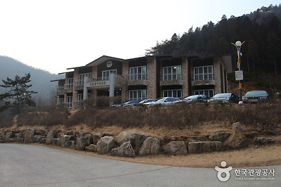 국립 남해편백자연휴양림 사진8